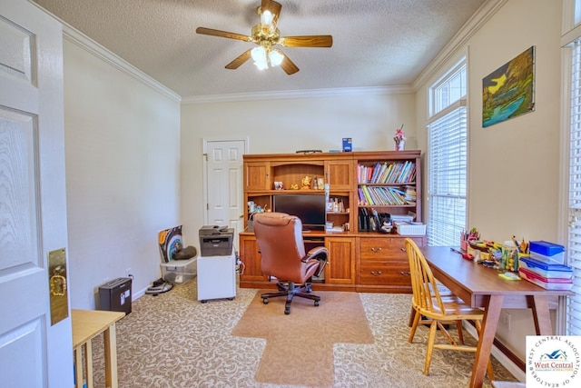 office space with carpet, a textured ceiling, a ceiling fan, and crown molding