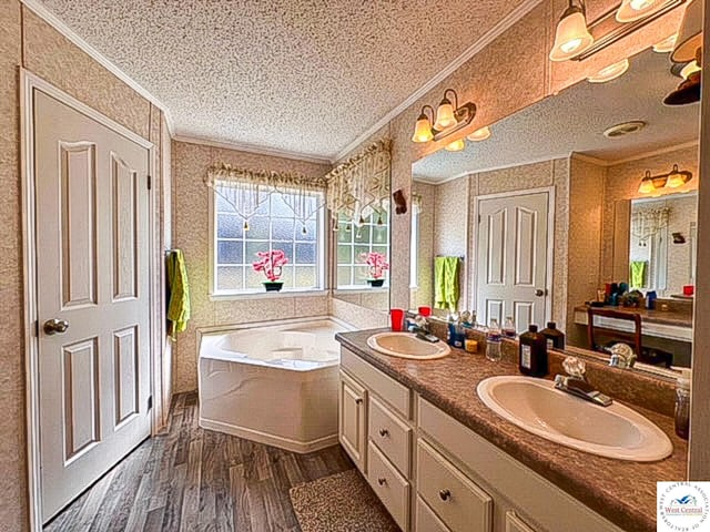 bathroom with crown molding, a textured ceiling, a sink, and wood finished floors