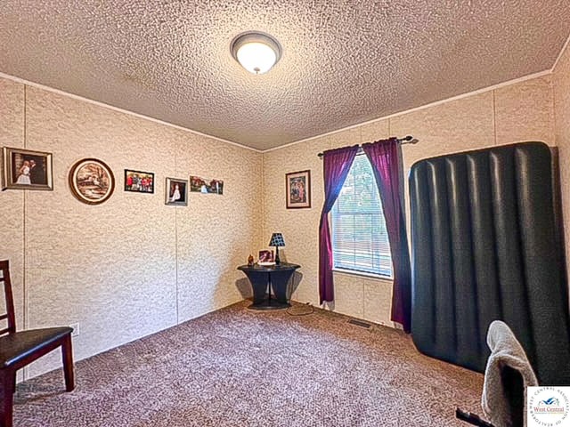 interior space featuring carpet, ornamental molding, and a textured ceiling