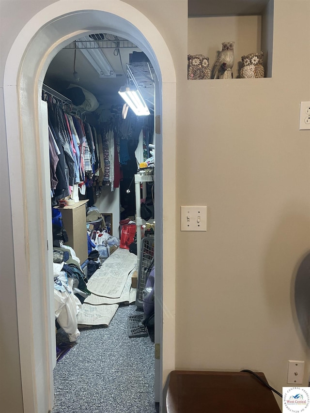 walk in closet featuring carpet floors