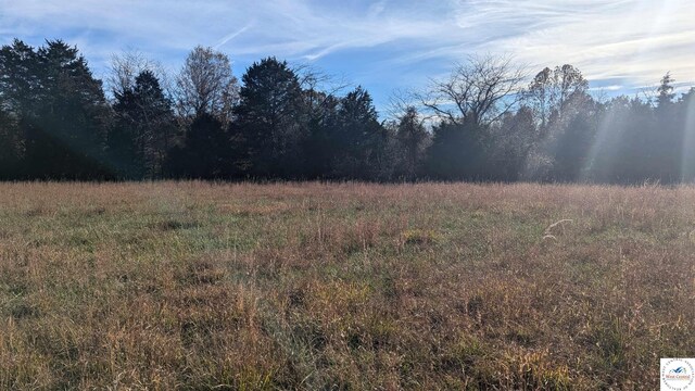 view of local wilderness