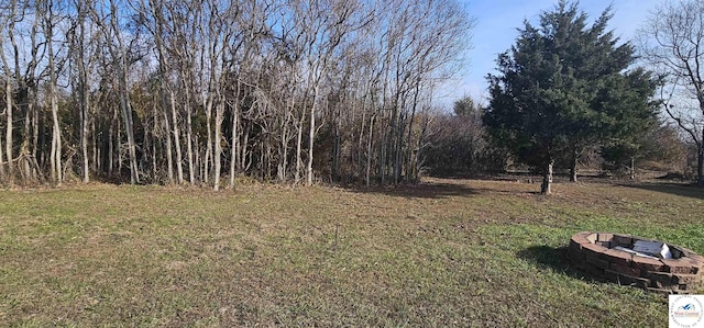 view of yard featuring a fire pit