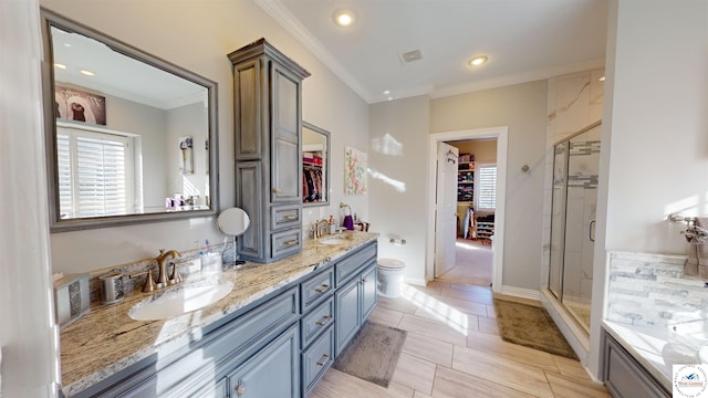 full bathroom with a healthy amount of sunlight, a shower stall, crown molding, and a sink