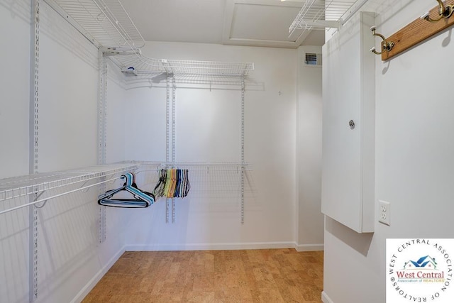 walk in closet featuring visible vents and light wood-style floors