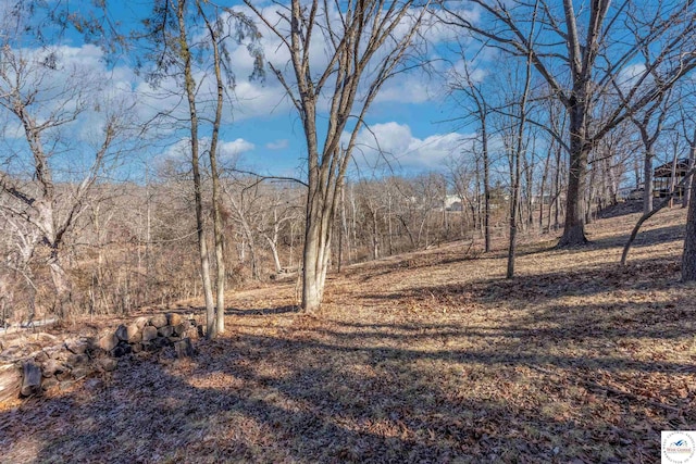 view of landscape featuring a view of trees