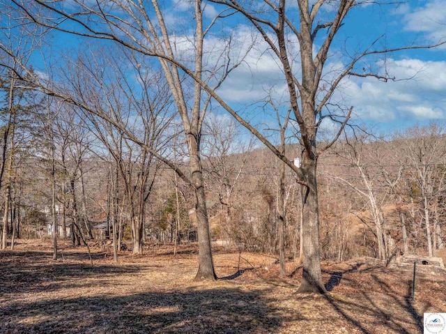 view of local wilderness with a wooded view