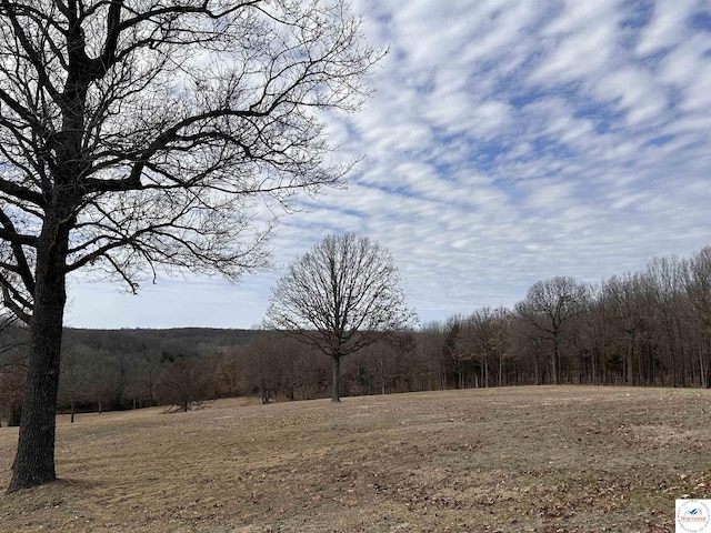 view of local wilderness with a view of trees