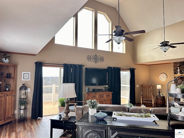 living room featuring lofted ceiling, ceiling fan, and wood finished floors