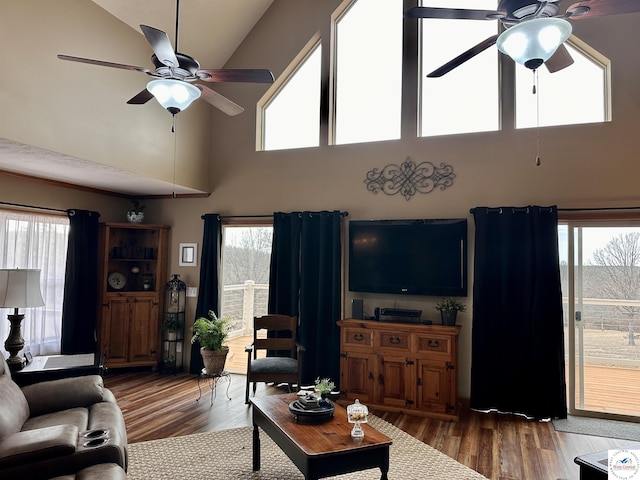 living area with lofted ceiling, wood finished floors, and a ceiling fan