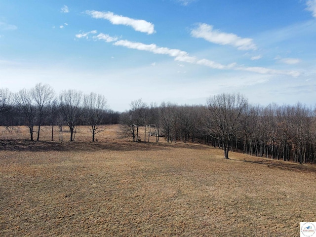 view of yard featuring a rural view