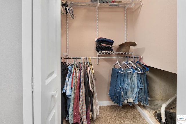 view of spacious closet