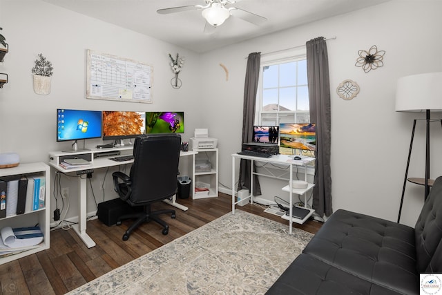 office area featuring ceiling fan and hardwood / wood-style floors