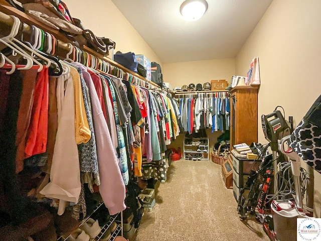 spacious closet with carpet