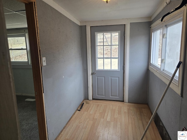 entryway with plenty of natural light and light wood-style flooring