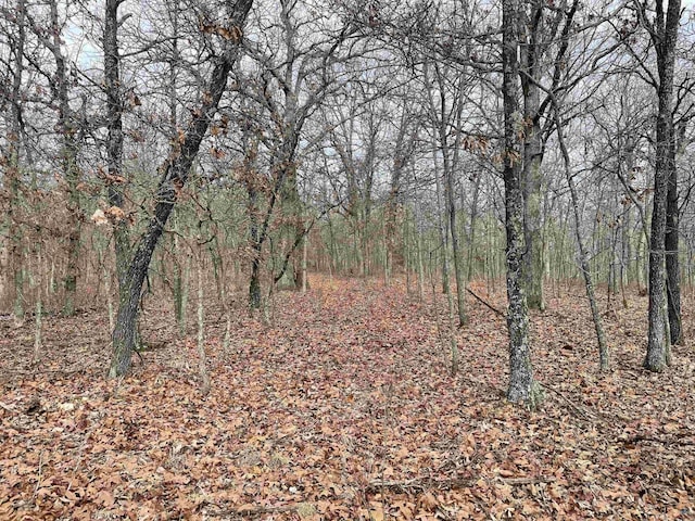 000 Steve, Edwards MO, 65326 land for sale