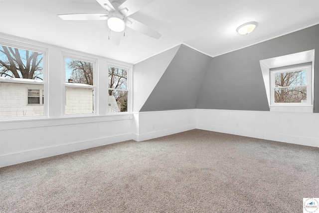 additional living space with plenty of natural light and carpet