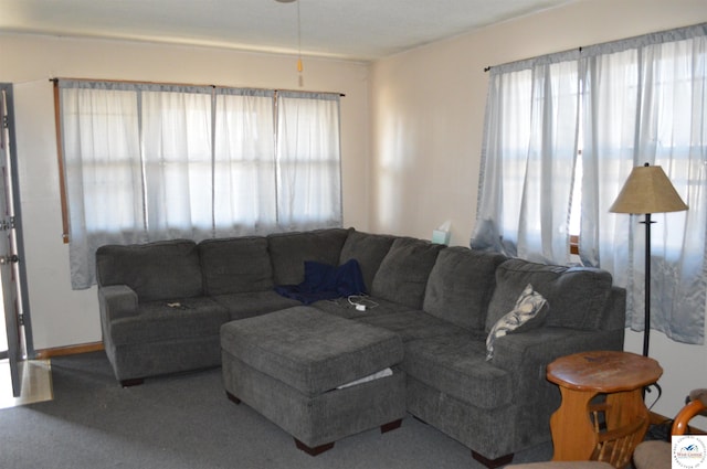 living room featuring carpet flooring