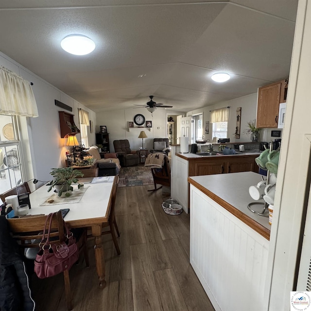 33039 Hilty Ave, Warsaw, MO 65355 - kitchen featuring dark wood finished floors, a peninsula, vaulted ceiling, a ceiling fan, and open floor plan