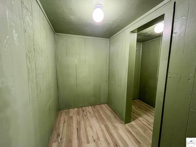 spacious closet featuring light wood-style floors