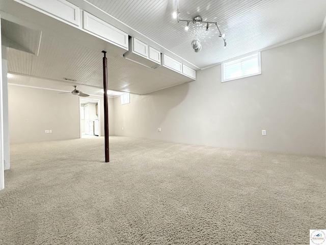 basement featuring carpet