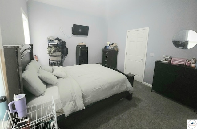 1012 E 7th St, Sedalia, MO 65301 - view of carpeted bedroom