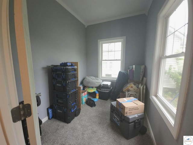 1012 E 7th St, Sedalia, MO 65301 - miscellaneous room featuring carpet flooring and crown molding