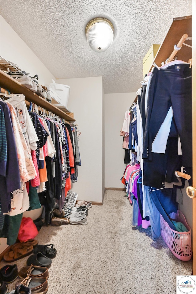 56 NW 247th Rd, Clinton, MO 64735 - walk in closet with carpet floors