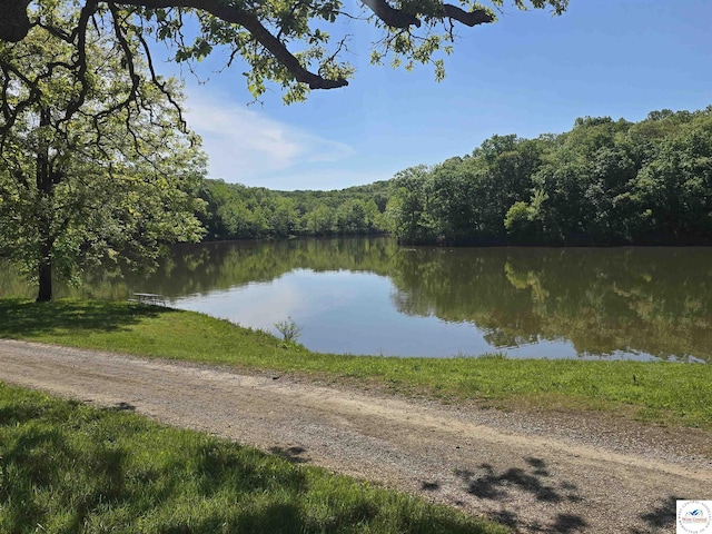 17509 Snowcap Loop, Warsaw, MO 65355 - view of water feature with a forest view