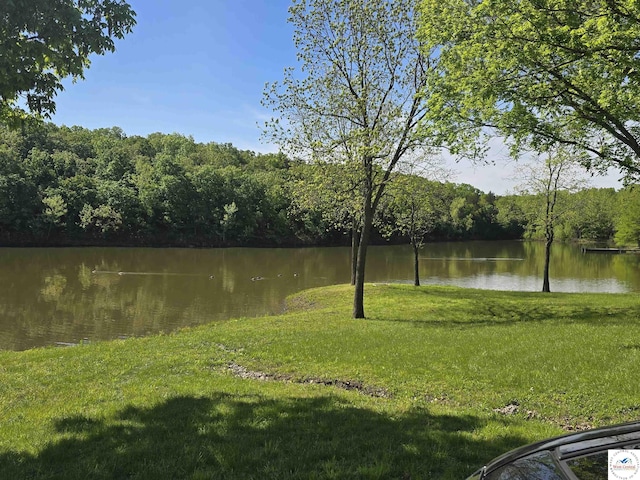 17509 Snowcap Loop, Warsaw, MO 65355 - property view of water with a view of trees