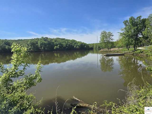 17509 Snowcap Loop, Warsaw, MO 65355 - property view of water featuring a view of trees