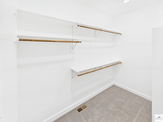 1248 Rich Blvd, Warrensburg, MO 64093 - spacious closet featuring carpet floors
