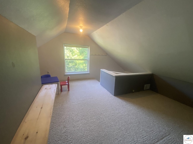 330 2nd St, Osceola, MO 64776 - photo 26