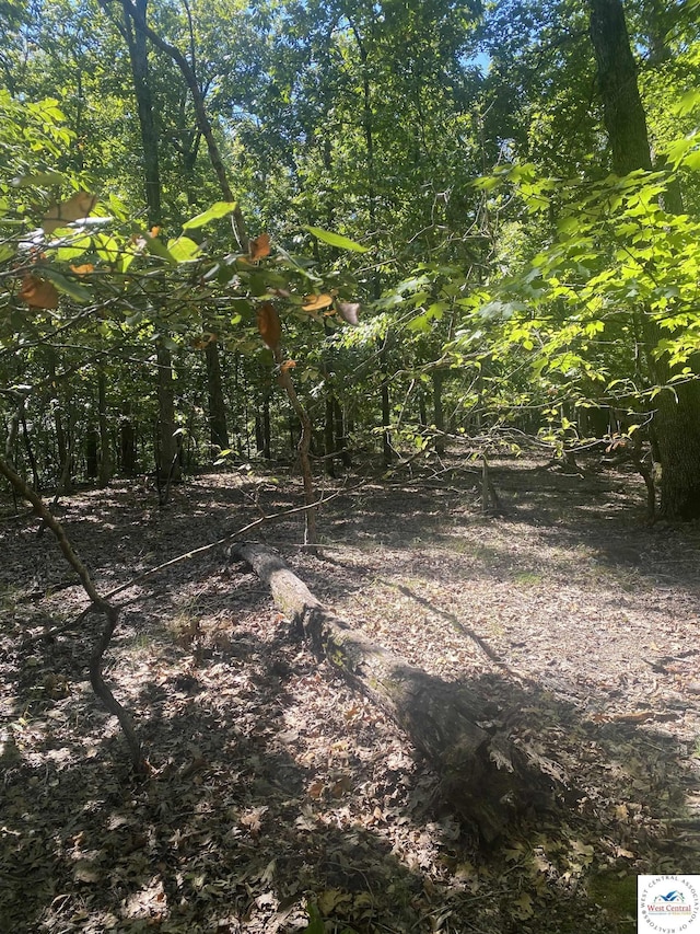 LOT33 Chessman Dr, Lake Ozark, MO 65049