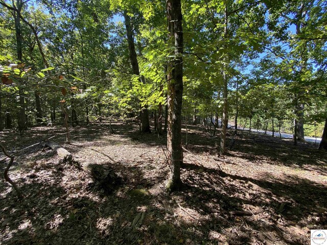 LOT33 Chessman Dr, Lake Ozark, MO 65049