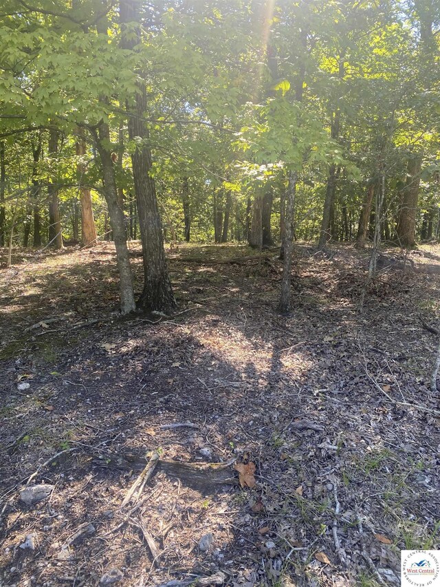 LOT33 Chessman Dr, Lake Ozark, MO 65049