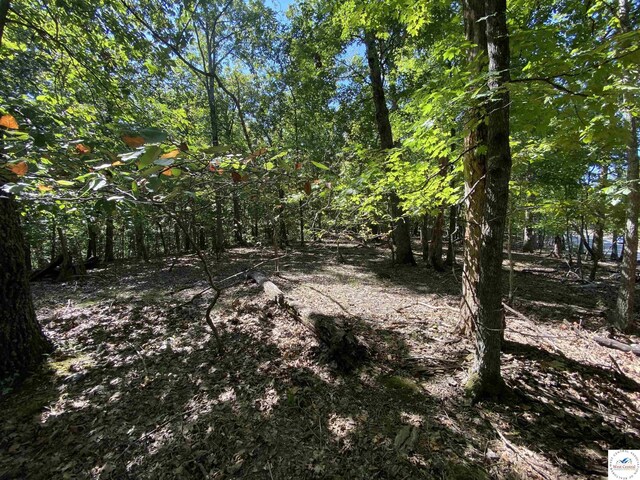LOT33 Chessman Dr, Lake Ozark, MO 65049