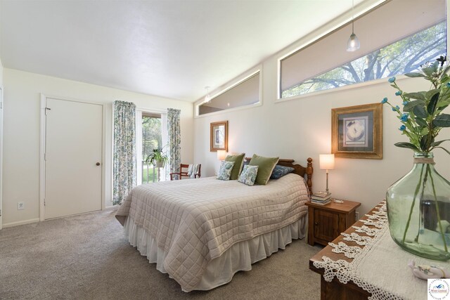 7020 Walnut Cir, Sedalia, MO 65301 - bedroom featuring access to outside, carpet flooring, and vaulted ceiling