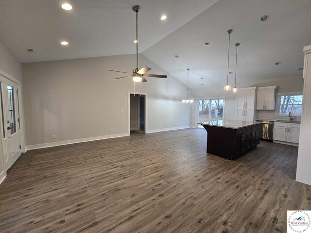 61 NW 247th Rd, Clinton, MO 64735 - kitchen featuring stainless steel dishwasher, dark wood-style floors, a wealth of natural light, and open floor plan