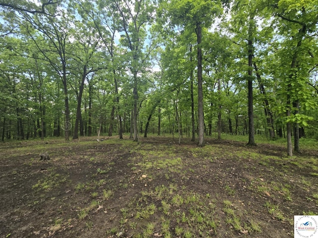27349 Karrs Ave, Warsaw, MO 65355 - view of woods