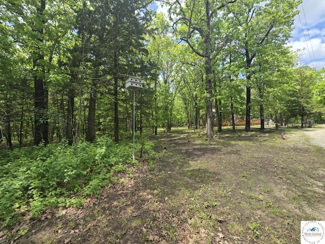 27349 Karrs Ave, Warsaw, MO 65355 - view of local wilderness