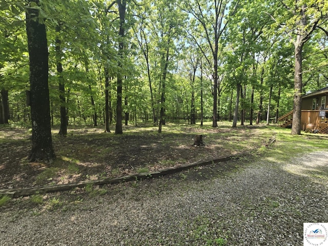 27349 Karrs Ave, Warsaw, MO 65355 - view of yard