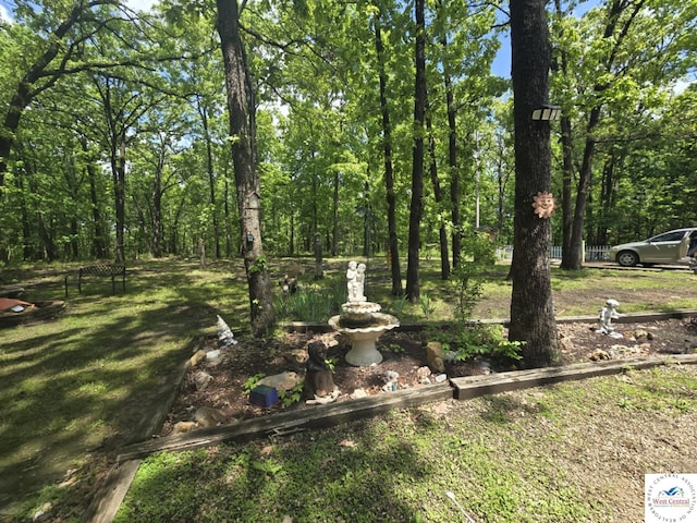 27349 Karrs Ave, Warsaw, MO 65355 - view of yard