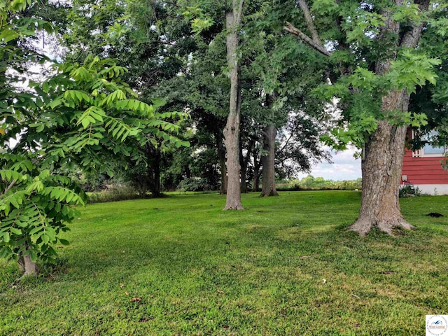 1094 SE 301st Rd, Leeton, MO 64761 - photo 3