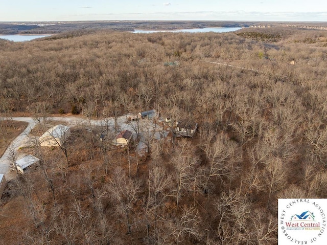 bird's eye view featuring a forest view and a water view
