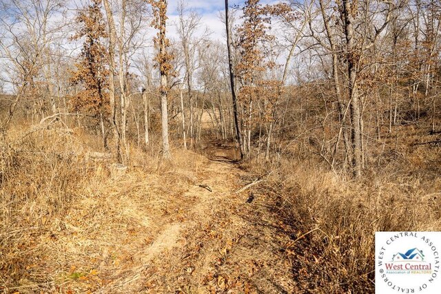 000 SE J Hwy, Collins, MO 64738