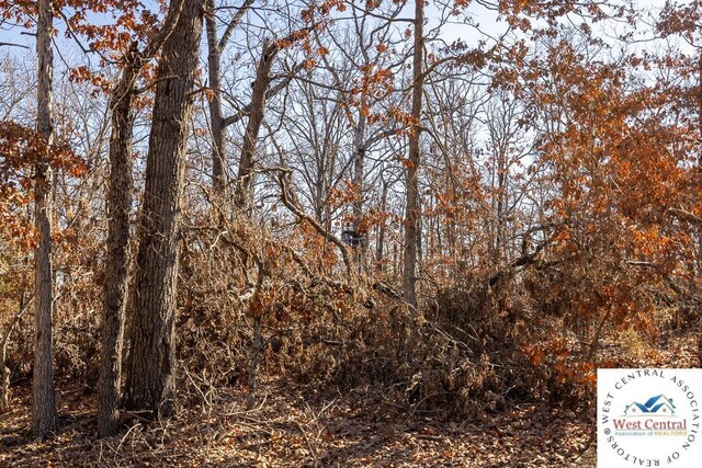 000 SE J Hwy, Collins, MO 64738