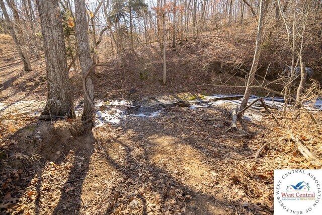 000 SE J Hwy, Collins, MO 64738
