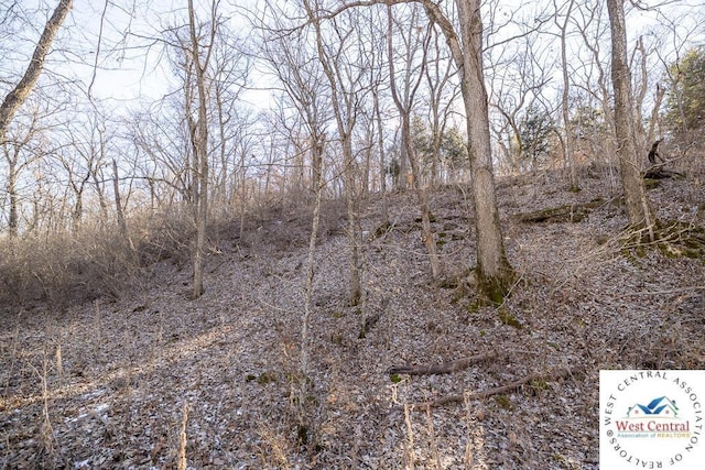 000 SE J Hwy, Collins, MO 64738