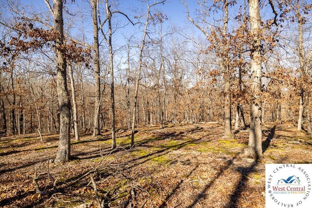 000 SE J Hwy, Collins, MO 64738