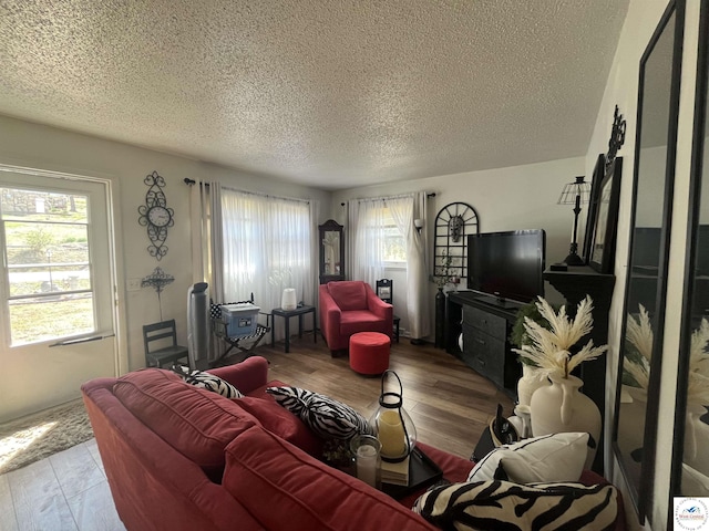 living room featuring a textured ceiling, wood finished floors, and a healthy amount of sunlight